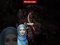 Download Lagu MULUT CACING TANAH #ipapunyacerita #cacingtanah #sistempencernaanhewan #sistempencernaan