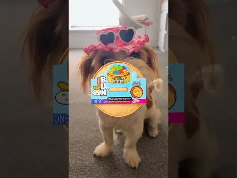 MYSTERY DUMPLING FILTER CHALLENGE WITH DOBBY AND SNOOPY!!🐶😂⁉️