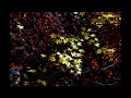 Olivia Belli - Nocturne III (Arr. for Piano from Nocturne Op. 15 No. 3 in G Minor by Olivia Belli)