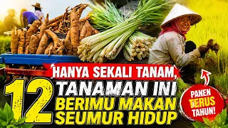 Jarang diketahui! Hanya sekali tanam, 10 TANAMAN ini mampu jadi sumber makanan SEUMUR HIDUP‼️