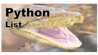 160-Python - List Append Pop Methods