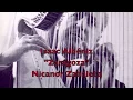 Nicanor Zabaleta cut