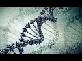 Nordfold - A Different Life (Extended Mix)
