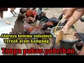 Download Lagu PAKAN MURAH BANGET TERNAK AYAM KAMPUNG TANPA PAKAN PABRIKAN