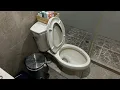 315 Almond 2010s Kohler Kelston Toilet