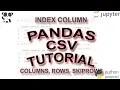 Pandas Read CSV Tutorial skiprows usecols missing data more