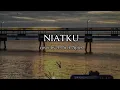 Download Lagu Red - Niatku cover by A-Pit ft. Apies