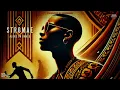 Download Lagu STROMAE - ALORS ON DANSE (Prod.BigGrand Edit) #stromae #alorsondance #djbiggrand #afrohousemix