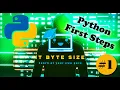Python Beginner Variables User Input Calculations