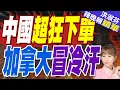 Download Lagu 痛失肥單？中國已下訂5萬噸？加拿大慌了｜中國超狂下單 加拿大冒冷汗｜蔡正元.栗正傑.謝寒冰深度剖析?【洪淑芬辣晚報】精華版 @中天新聞CtiNews