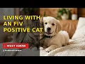 QUESTIONS TO ASK YOUR VET AND LIVING WITH AN FIV POSITIVE CAT
