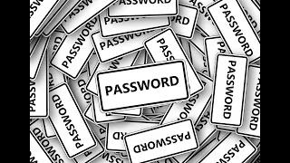 15 Password Validator - JavaScript Coding Challenge
