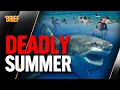 Sydney s Summer of Terror Inside the 2026 Shark Attacks The Brief