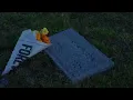 Switchfoot - The Butterfly Effect (Visualizer)