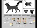 Warrior Cat Maker Deviant art Graystripe