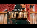Post Malone ft Quavo - Congratulations Instrumental