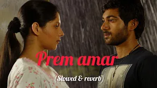 Download Prem amar(প্রেম আমার)- (Slowed + Reverb)।Prem amar Bengali movie। Payel।Love Bengali Lofi। Lo-Fi Apa MP3