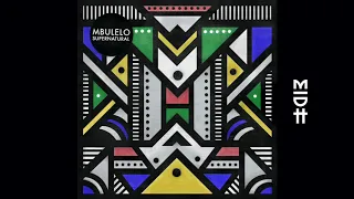 mbulelo 31 planes of existence midh premiere 