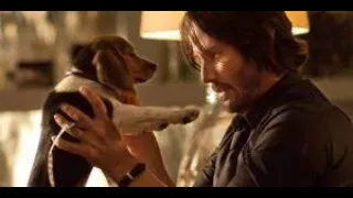 فقط بسبب ايذاء كلبه تم القضاء علي عصابه باكملها فيلم جون ويك تريند Trend 