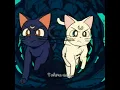 Lua e Artemis - Cats