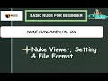 Basic Nuke for Beginner 002 Nuke viewer Setting File format