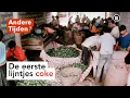 Download Lagu Hoe cocaïne naar Nederland kwam | ANDERE TIJDEN