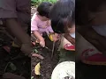 Download Lagu Anak-anak Cari cacing.. Mereka berani???