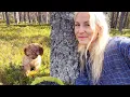 My Life Lately - The Highs and the Lows