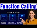 Function Calling In Google AI Studio GEMINI API Tutorial Examples