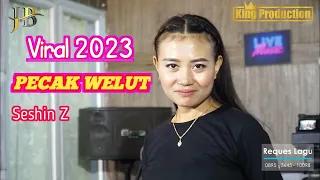 viral pecak welut seshin jb musik online tanggal 04 juni 2023