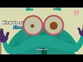 How To Survive Floods? | Preparing For A Flood | The Dr Binocs Show | Peekaboo Kidz