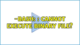 How to solve - bash cannot execute binary file 2 Solutions