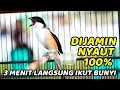 Download Lagu PENTET KONSLETTT . . PENTET GACOR EMOSI CEPAT DI RESPON CENDET LAIN, MASTERAN CENDET FULL TEMBAKAN