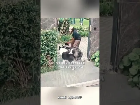 Anjing besar tiba-tiba datang menyerang mereka
