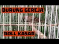 Download Lagu GEREJA KAWIN DURASI PANJANG MASTERAN BURUNG JAWARA