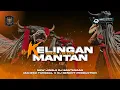 Download Lagu DJ BANTENGAN KELINGAN MANTAN NDXAKA | MAHESO TUNGGAL X @DJBENDOTPRJCT