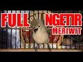 Download Lagu Cipoh / Sirtu Full Meriwit Ngetir
