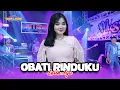 Download Lagu OBATI RINDUKU - LAILA AYU FT NEW PALLAPA || SAUDARA NEW PALLAPA INDONESIA