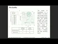Lecture Exploratory Data Analysis 1