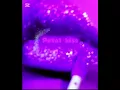 STARLIT •Petal Kiss (꽃잎 키스) - Official Audio 