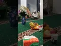 Download Lagu Ya Barkosami,,Ust Hamidi Masjid Al Barkah Maulid Nabi Saw 12-10 2022