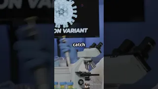 Meet The New XEC Covid Variant 