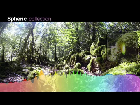 Forest 2 | Ambisonics Forest Sound Effects Library