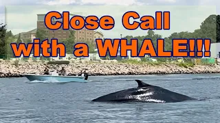 That Whale Came Way Too Close!!! E108