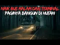 Lagu NAIK BUS MALAM DARI TERMINAL, PAGINYA BANGUN DI HUTAN -ceritahoror