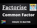 6 Common Factor factorisation grade 10