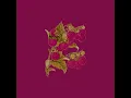 ラズベリー - Raspberry - kakizaki yuta