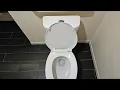 TR Why Buying a New Project Source Pro Flush Dual Flush Toilet is a Pointless Waste of Time