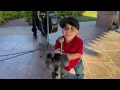 Chapito 02 - LO LOGRE (Video Oficial)
