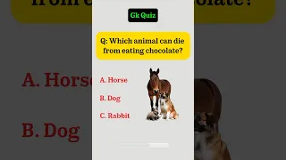 General Knowledge Quiz 